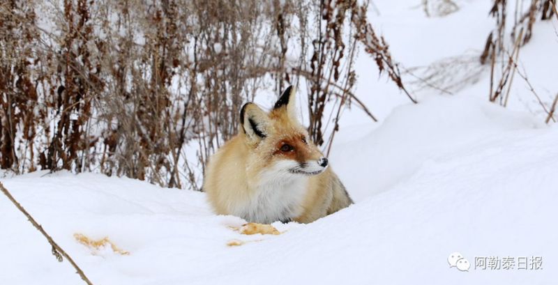 ??????: ??? ???? ????? ???? ?????? ?????? ?? ????? ????? ?????????