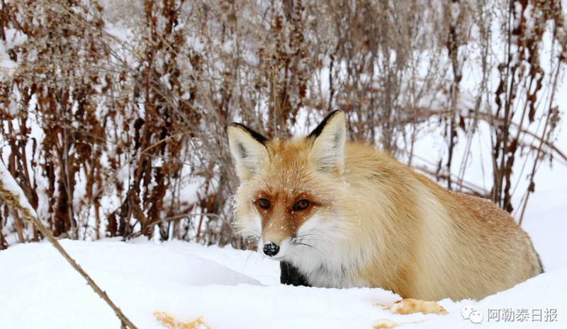 ??????: ??? ???? ????? ???? ?????? ?????? ?? ????? ????? ?????????