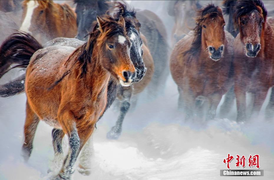 ????? ??? ???? ????? ??? ??? ???? ?????????