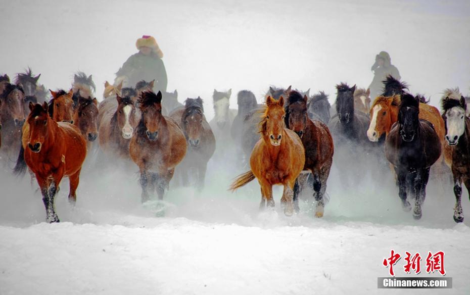 ????? ??? ???? ????? ??? ??? ???? ?????????