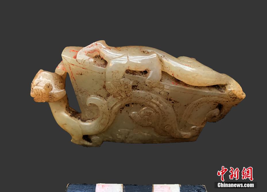 ?????? ????? ???? ?????? ?? ???? ?????????? ???? ???????