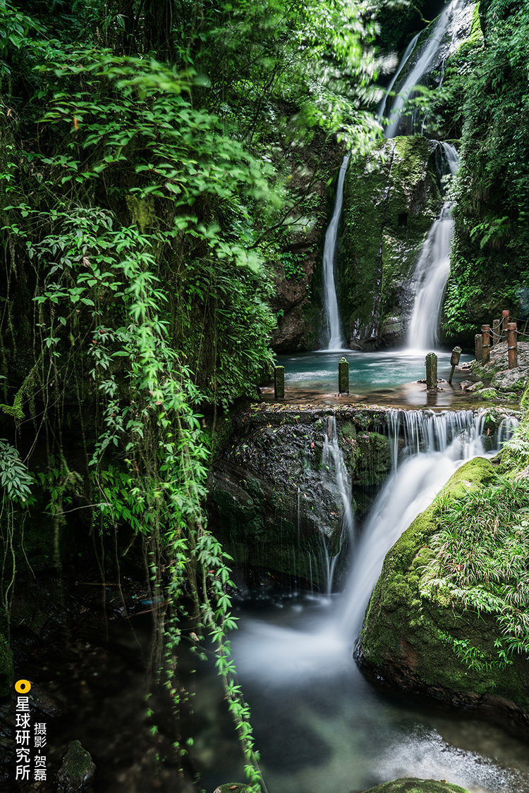 ??? ?? ?????: ??????? ????? ??????? ??????