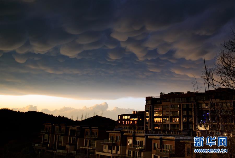 ??? ?????? ????? ???? ?? ???? ?????? ??????