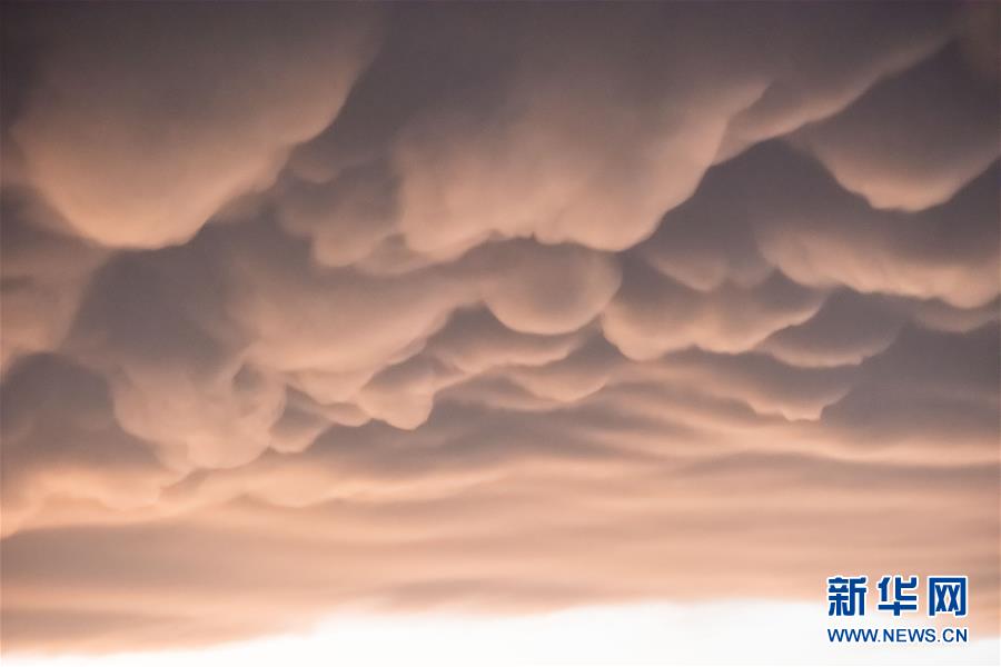 ??? ?????? ????? ???? ?? ???? ?????? ??????