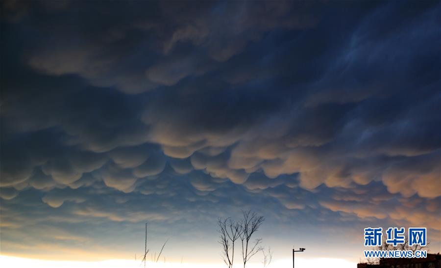 ??? ?????? ????? ???? ?? ???? ?????? ??????