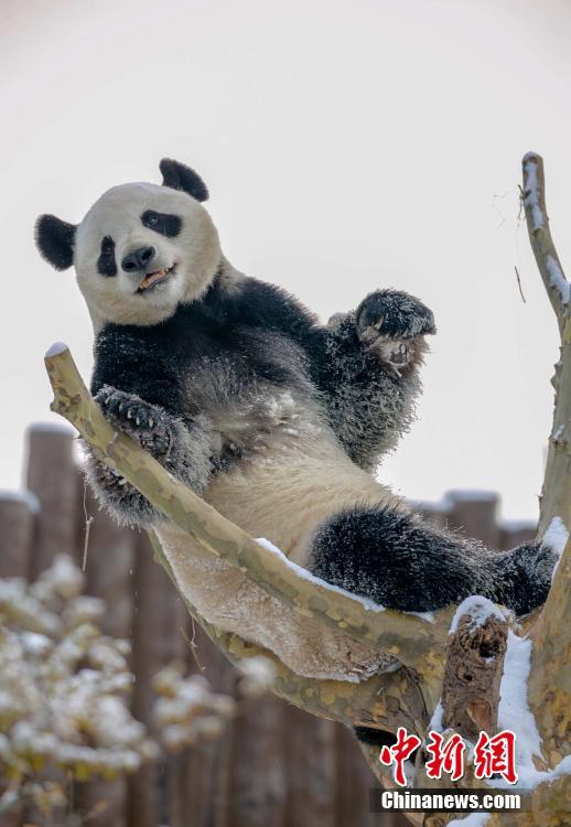 ??????? ???? ?????? ?? ??????