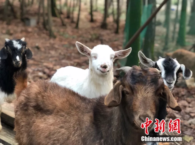 ?? ???? ???? ??? ??????? ???? ??????