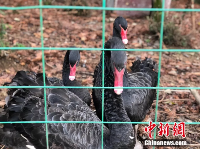 ?? ???? ???? ??? ??????? ???? ??????