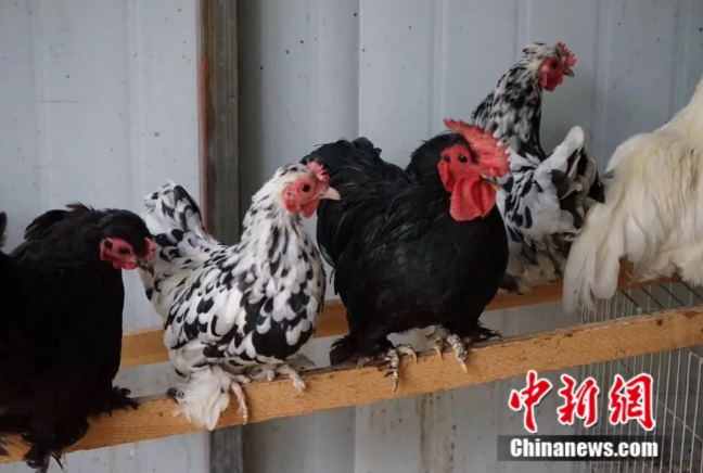 ?? ???? ???? ??? ??????? ???? ??????