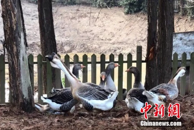 ?? ???? ???? ??? ??????? ???? ??????