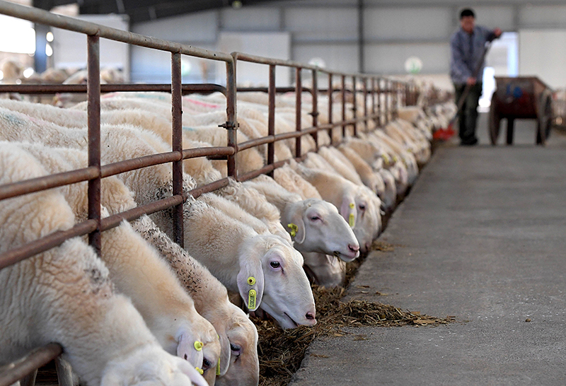 ????? ????? ??? ????? ????? ??????? ?????? ??? ????? ???? ?? ?? ?????? ???? ?????? ?????????