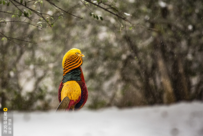 ??? ?? ?????: ??? ?????? ??????? ??????