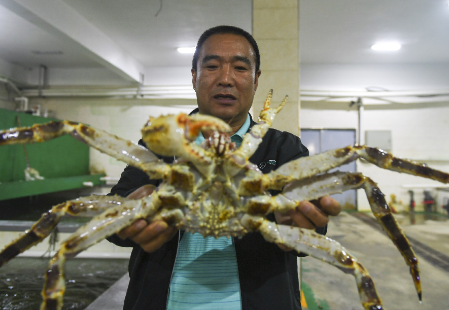 ????? ?????? ????? ???? ???? ???? ???? ????? ?????? ???????? ??????