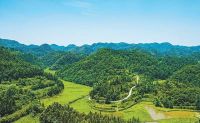 ????? ???? 488 ??? ????? ?? ??????? ????? ?????? ?? ??? 2019