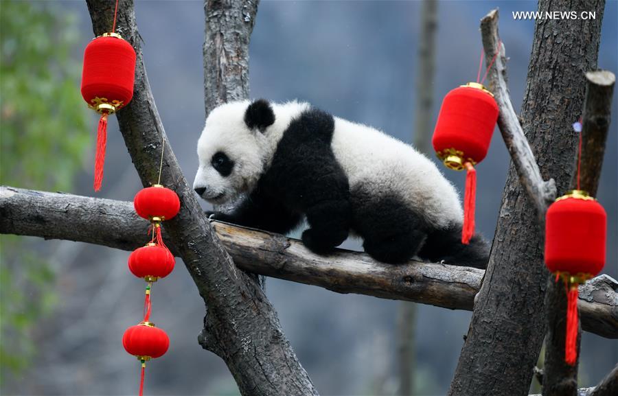 20 ???? ????? ?????? ?????? ??????? ?? ????? ??????? ???????