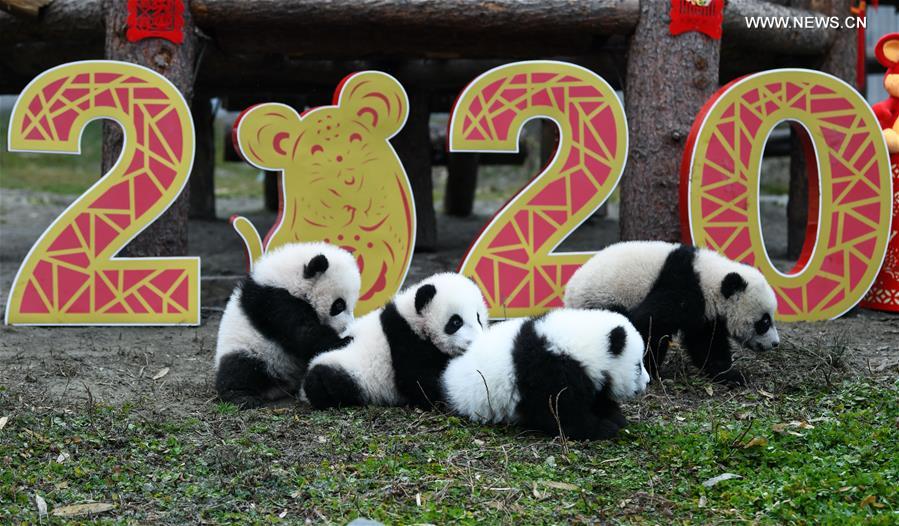 20 ???? ????? ?????? ?????? ??????? ?? ????? ??????? ???????