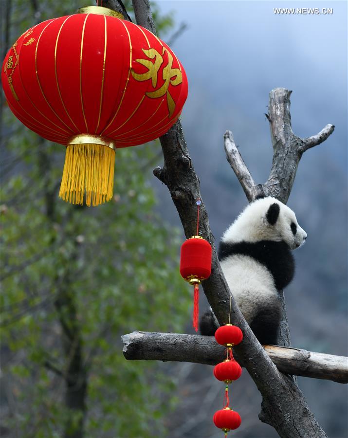 20 ???? ????? ?????? ?????? ??????? ?? ????? ??????? ???????