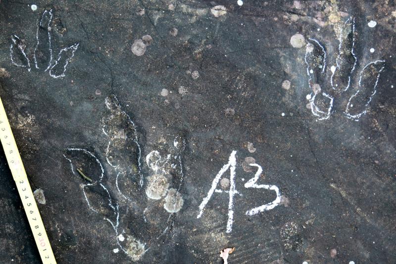 ????? ??????? ???? ????? ????????? ???? ???? ?????