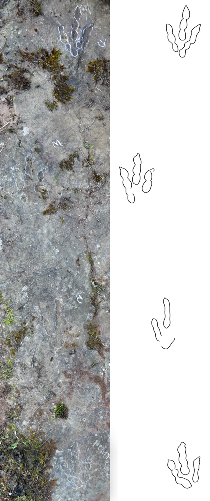 ????? ??????? ???? ????? ????????? ???? ???? ?????