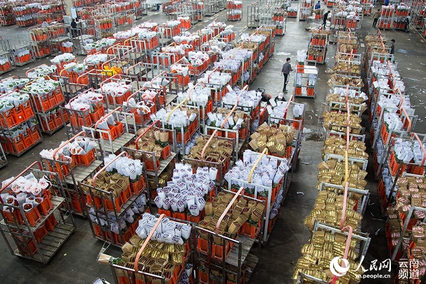 ???? ??? ?????? ?? ???? ?????? ????? ???????? ???? ???? ????? ?????? ??????