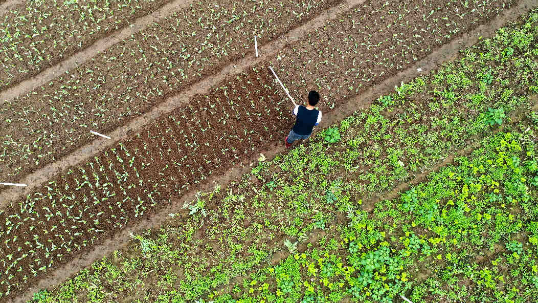 ????? ????? ??????? ??? ????? ?????? ?????? ?? ??? 2020