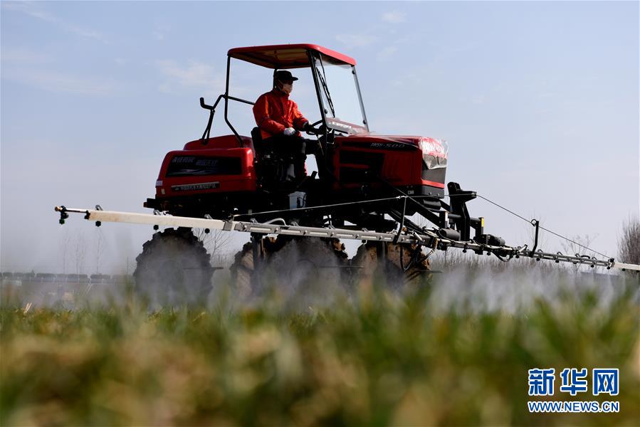 ??? ????? ??????? ?? ????? ?? ???? ?????? ??????