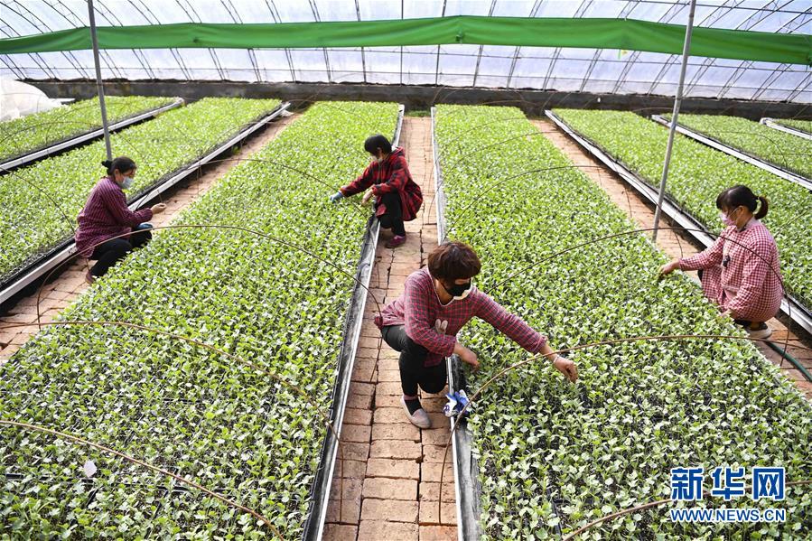 ??? ????? ??????? ?? ????? ?? ???? ?????? ??????