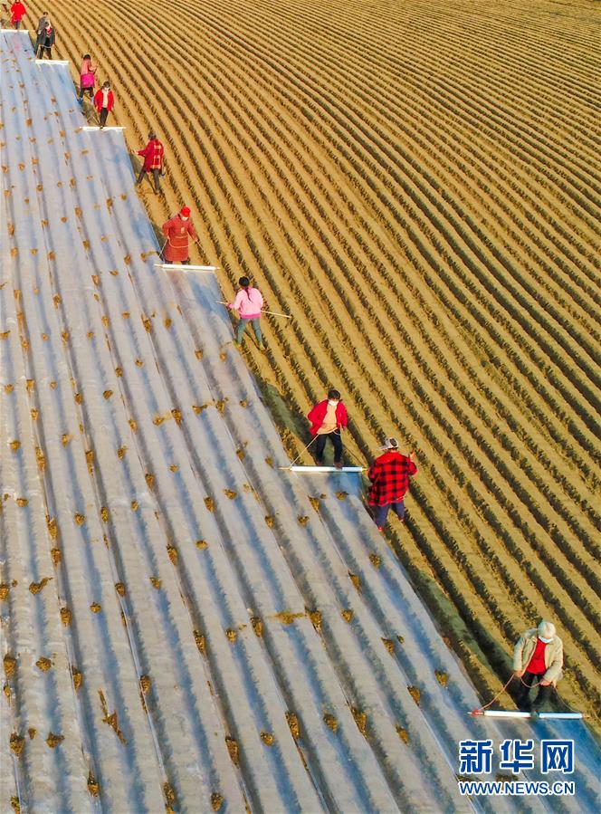 ??? ????? ??????? ?? ????? ?? ???? ?????? ??????