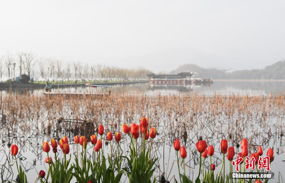 ??????? ??????? ????? ???????? ?? ????? ??????