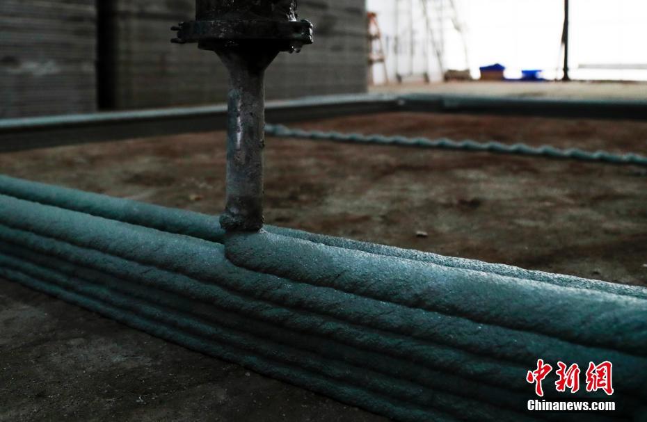 ??????: ????? ????? ????? ???????? ?????? ??????? ??????? ????? ?????? ??????