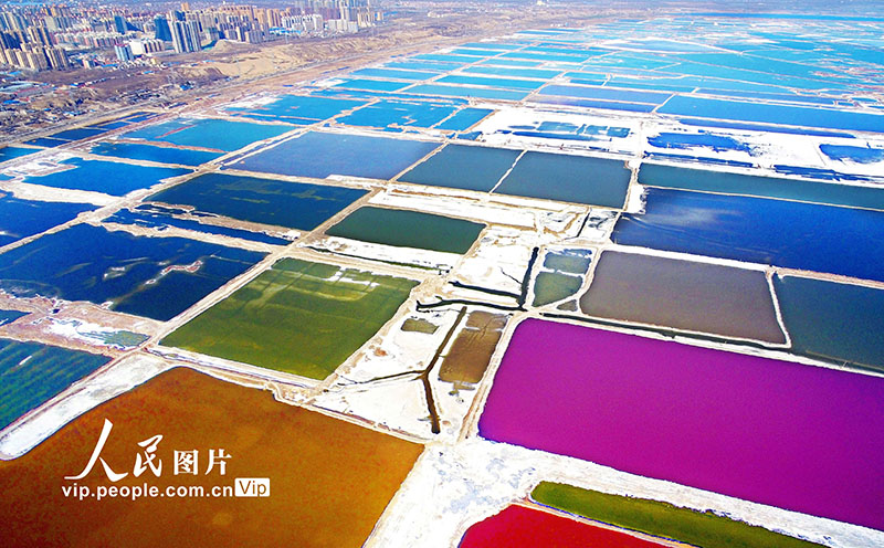 ????? ??????? ??????? ???? ????? ?? ??????