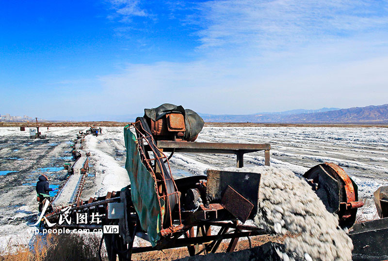 ????? ??????? ??????? ???? ????? ?? ??????