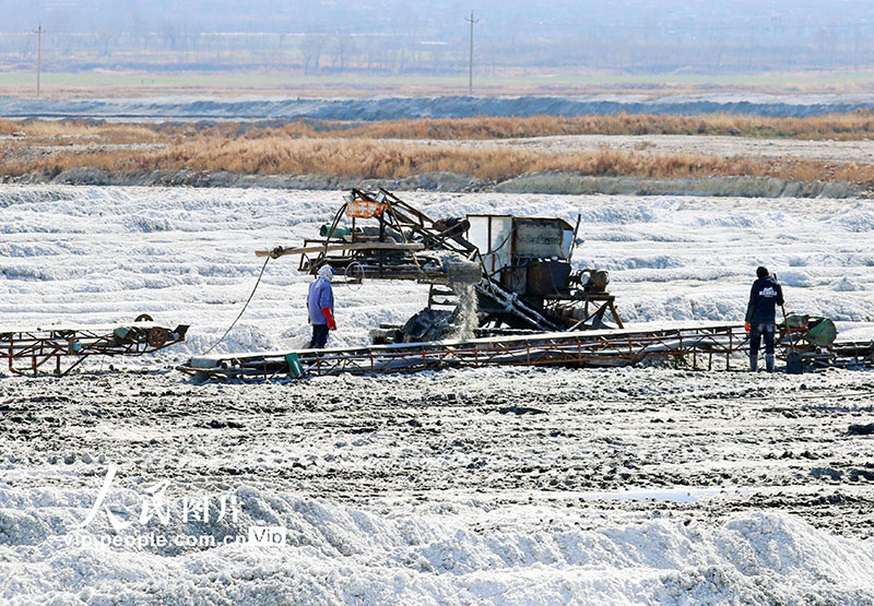 ????? ??????? ??????? ???? ????? ?? ??????