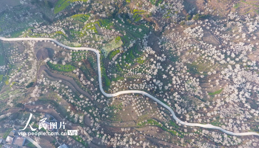 ??????: ????? ????? ???? ?????? ??????? ???????