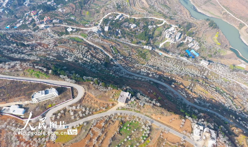 ??????: ????? ????? ???? ?????? ??????? ???????