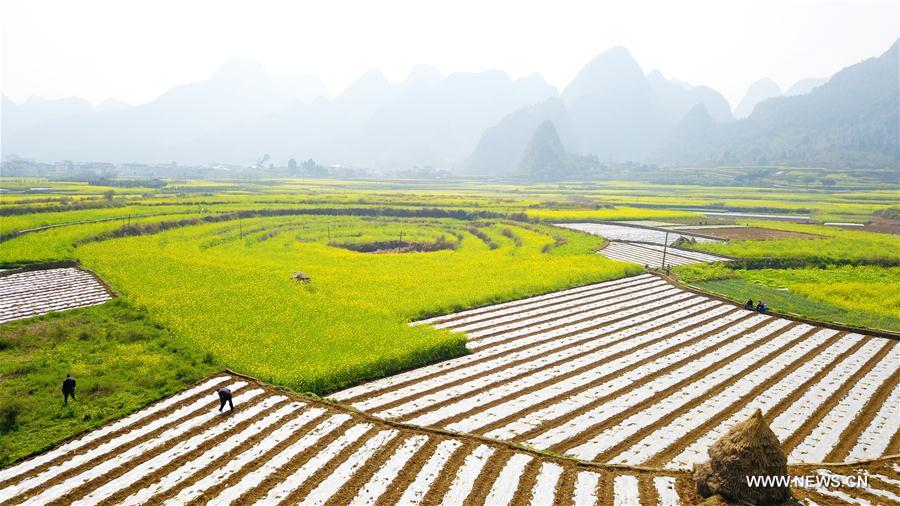 ????? ?????? ?? ???? ???? ?????