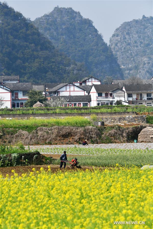 ????? ?????? ?? ???? ???? ?????