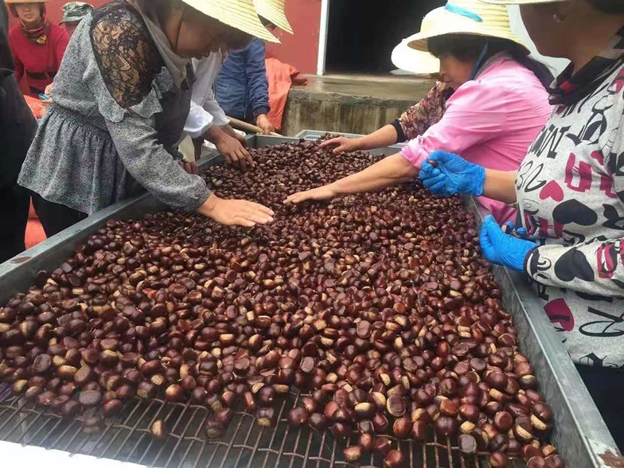 ????? ???????? ???? ????