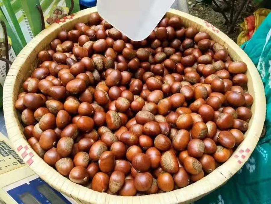 ????? ???????? ???? ????