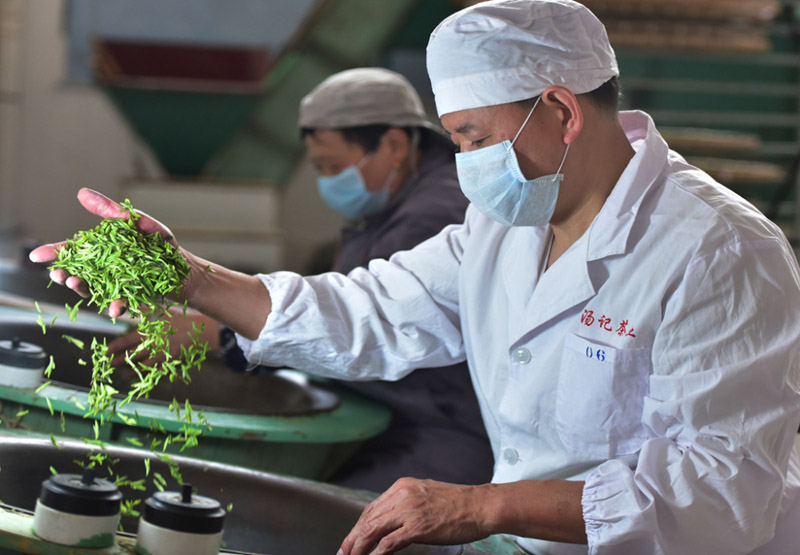 ???????: ???? ???? ?????? ????? ????? ??????? ???? ????????