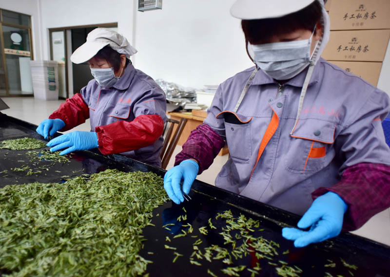 ???????: ???? ???? ?????? ????? ????? ??????? ???? ????????