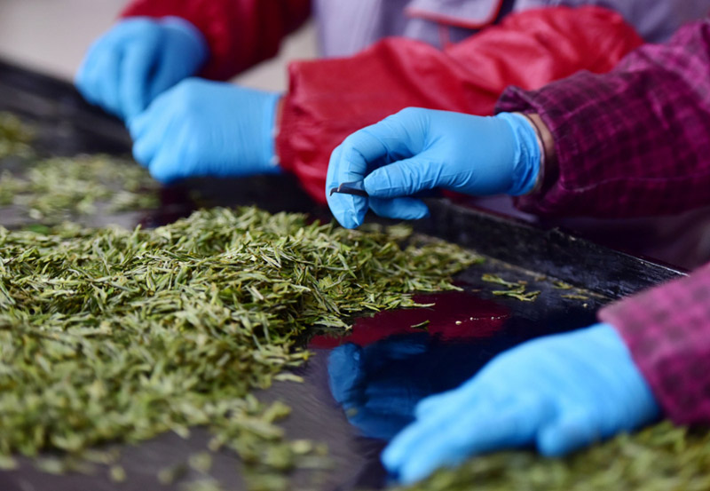 ???????: ???? ???? ?????? ????? ????? ??????? ???? ????????