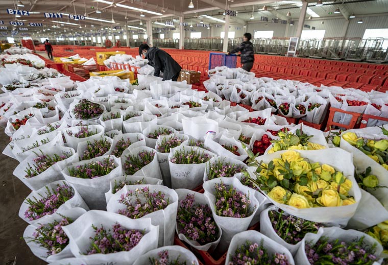 ???? ??? ?????? ?? ???? ?????? ??????? ?? ???? ???? ?????