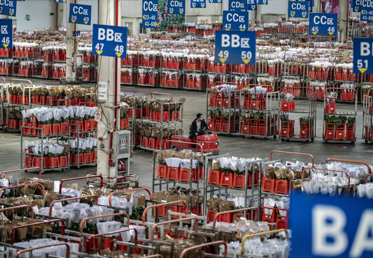 ???? ??? ?????? ?? ???? ?????? ??????? ?? ???? ???? ?????