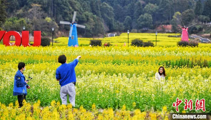 ?????? ???? ???? ???????? ???????? ???????? ??? ???? ????? ?????? ??????