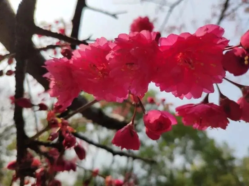 ?????? ????? ????? ?? ????? ?????? 