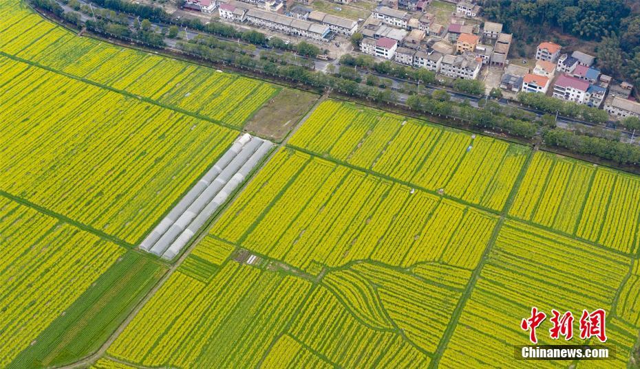 ???? ??? ????? ?????? ???????? ?? ??????