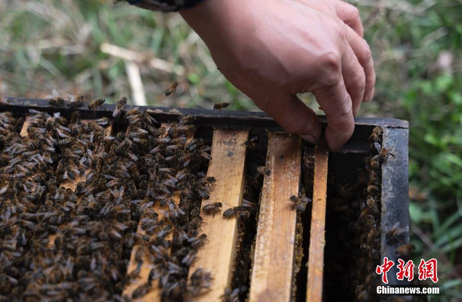 ???? ??? ????? ?????? ???????? ?? ??????