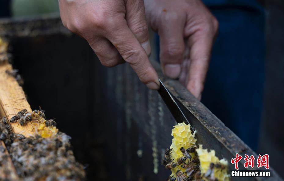 ???? ??? ????? ?????? ???????? ?? ??????