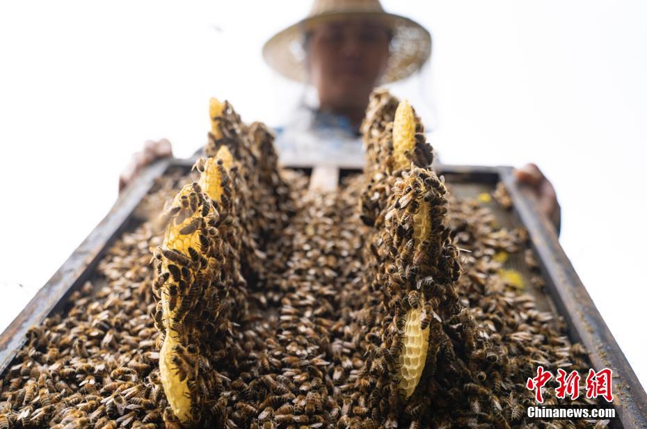 ???? ??? ????? ?????? ???????? ?? ??????